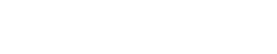 Brown Capital Logo